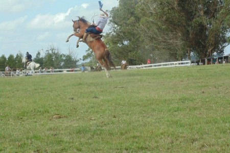 Jineteadas en la Sociedad 19 de abril, Rocha