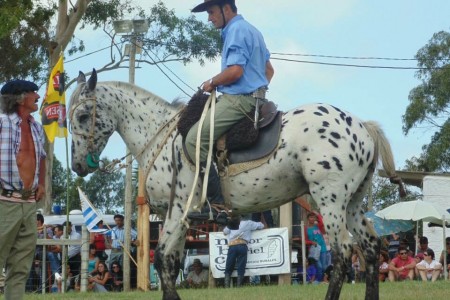Fiesta criolla en 19 de abril, Rocha