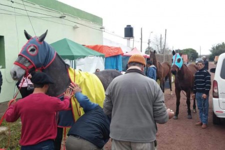 Fiesta hípica en Cebollatí, fiesta tradicional de Rocha