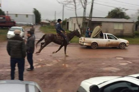 Fiesta hípica en Cebollatí, fiesta tradicional de Rocha