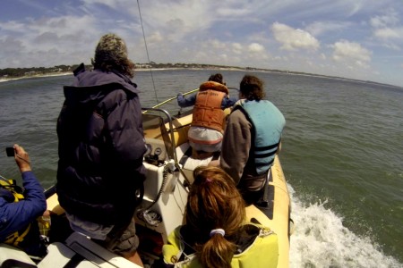 Salida de avistamiento de delfines