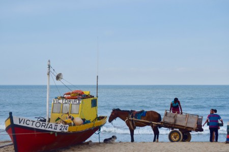 Playa de Los Pescadores en Punta del Diablo