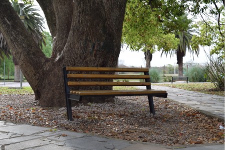 Plaza Lapeyre, Rocha