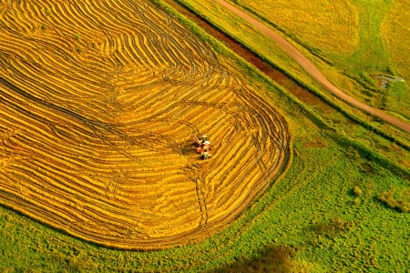 Circuito 4: Ruta del arroz