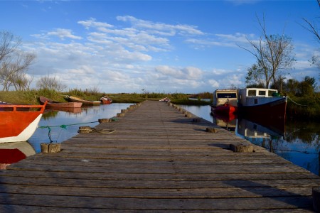 Muelle sobre la Laguna de Rocha