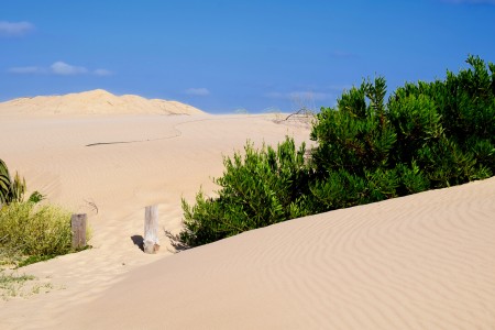 Medanos sobre la playa