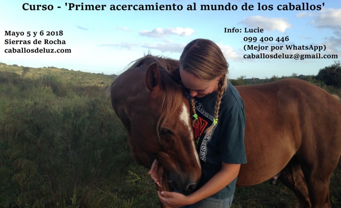 Curso en las Sierras de Rocha: "Acercamiento al mundo de los caballos"