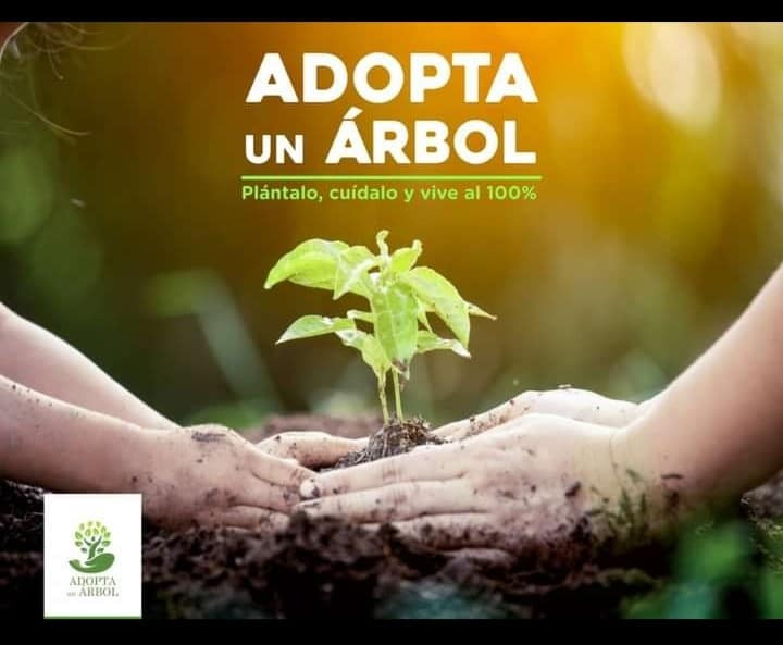 Únete a la 24ª Campaña "Adopte un Árbol" en Chuy y seamos juntos parte del compromiso con la naturaleza