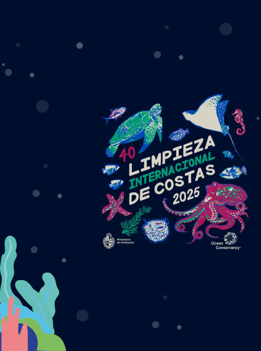 Limpieza de Costas 2025 en Rocha – Voluntariado ambiental en Uruguay