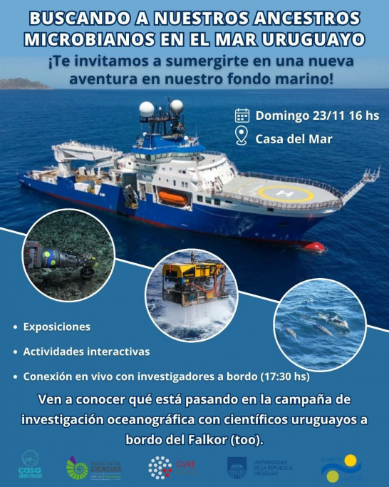 Buscando a nuestros ancestros microbianos en el mar uruguayo – La Paloma