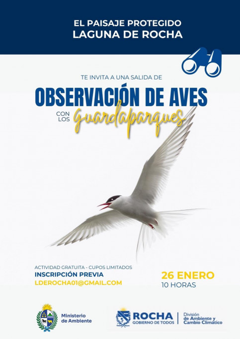 Observación de aves en Laguna de Rocha con guardaparques