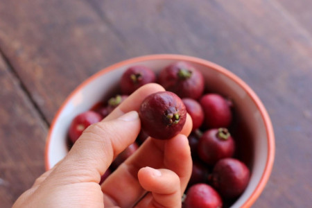 7ma. edición  - Frutos Nativos en Aguas Dulces