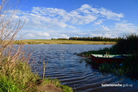 Festival del Puerto y La Riviera en La Riviera