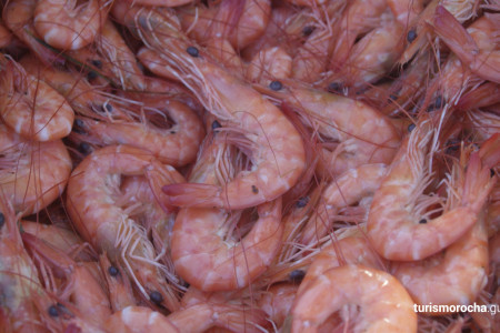 Festival Gastronómico Camaronada en Barra de Valizas