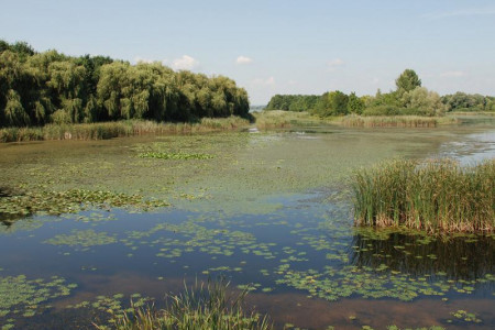 Mes de Los Humedales en La Paloma