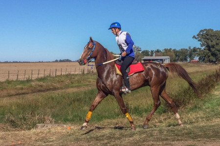 14° Festival Hípico Jóvenes Rurales en Lascano