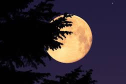 Astroturismo - Luna llena en Rocha