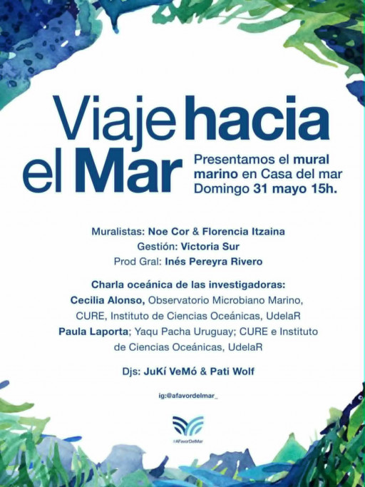 Viaje hacia el Mar en La Paloma