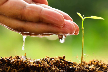 Día Mundial del Medio Ambiente en La Paloma
