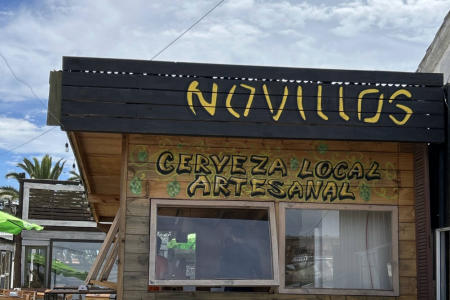 DJ Alle en Novillos Cervecería en La Paloma