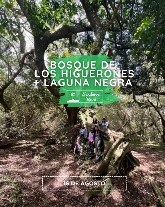 Paseo al Bosque de los Higuerones y Laguna Negra – Rocha