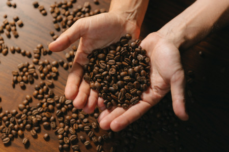 Taller de Introducción al Café de Especialidad en Rocha