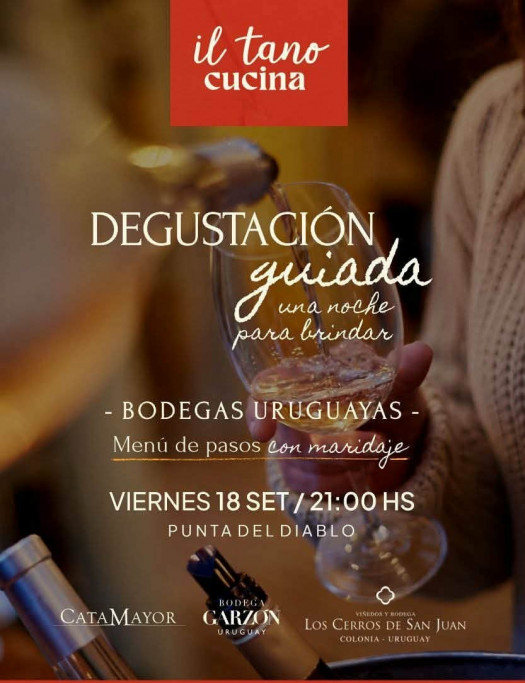 Degustación guiada | Vinos uruguayos y menú de pasos en Punta del Diablo