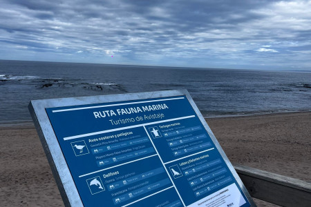 Rocha suma nueva cartelería interpretativa para poner en valor la fauna marina de la costa oceánica