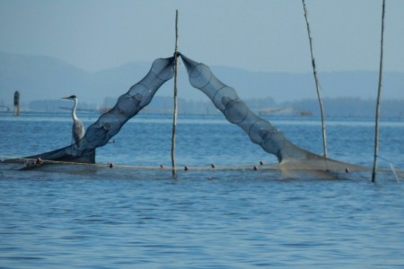 Pesca de camarón en la Laguna de Rocha