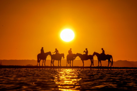 Cabalgatas Don Altez