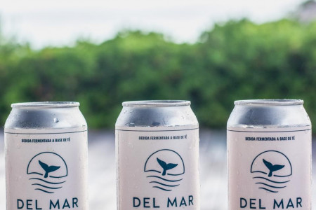 Del Mar Kombucha