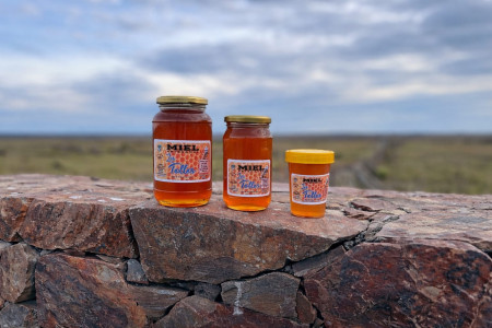 Apiário Los Tollos em Castillos. Mel, cera e própolis