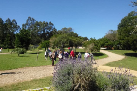Caseras de India Muerta