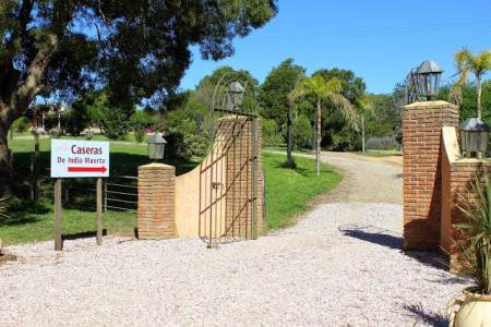 Caseras de India Muerta