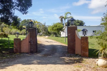 Caseras de India Muerta