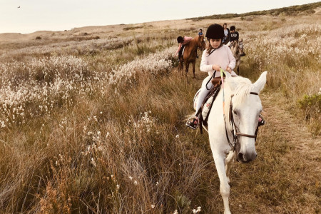 Eco Equus Cabalgatas