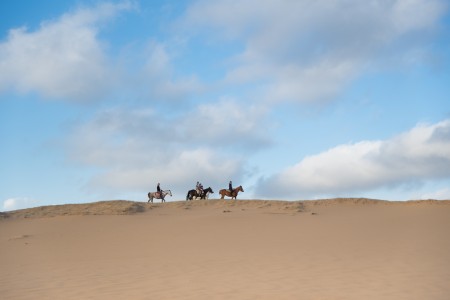 Eco Equus Cabalgatas