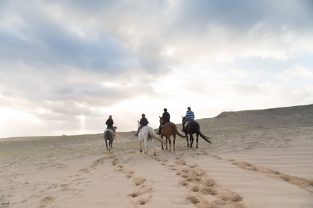 Eco Equus Cabalgatas