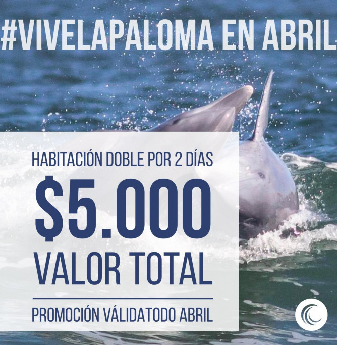 Promoción de abril en Palma de Mallorca en La Paloma
