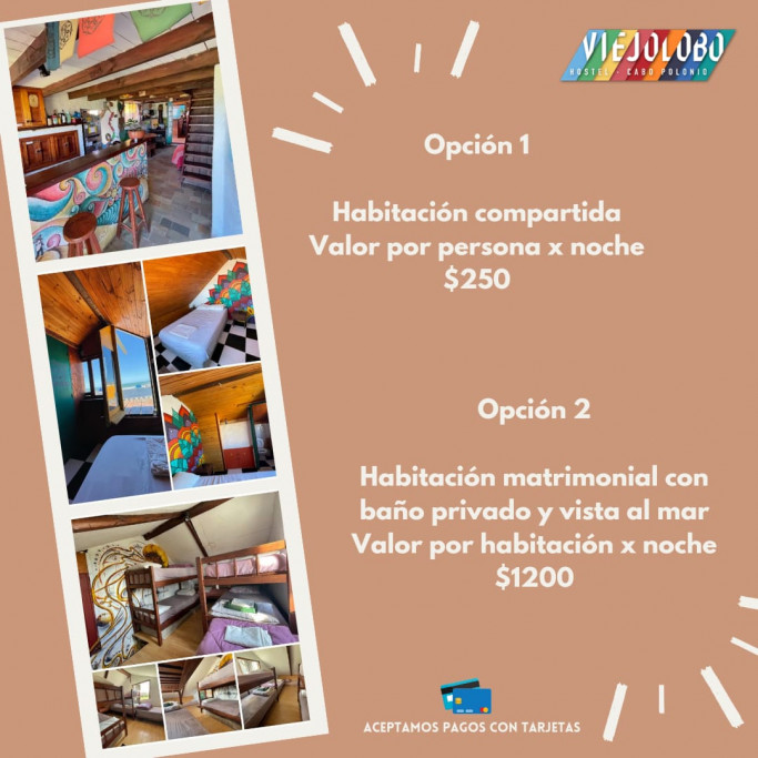 Promoción de vacaciones de invierno en Viejo Lobo Hostel