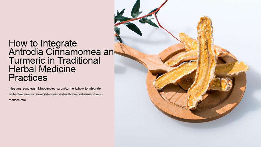 How to Integrate Antrodia Cinnamomea and Turmeric in Traditional Herbal Medicine Practices