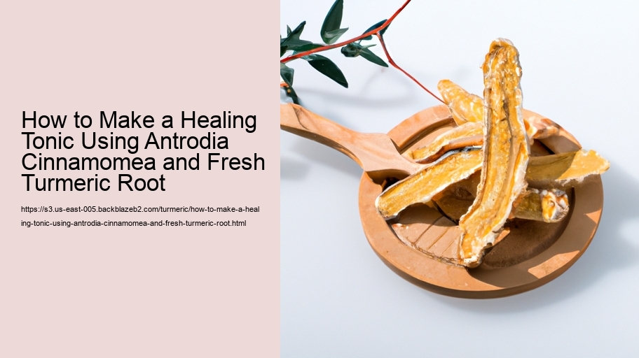 How to Make a Healing Tonic Using Antrodia Cinnamomea and Fresh Turmeric Root