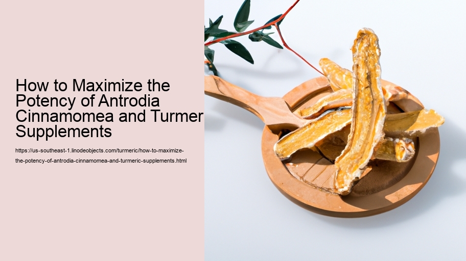 How to Maximize the Potency of Antrodia Cinnamomea and Turmeric Supplements