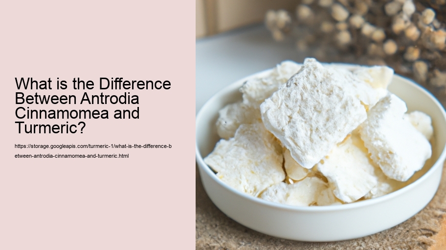What is the Difference Between Antrodia Cinnamomea and Turmeric?