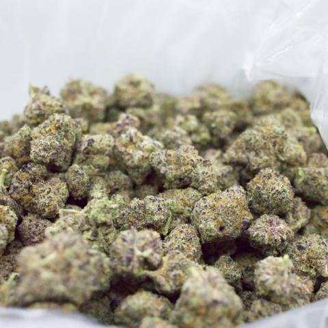 28 Grams of ThinMints Full Spectrum THCa Flower 28 Grams of ThinMints Full Spectrum THCa Flower