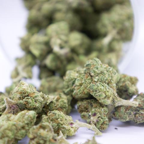 14 Grams of AppleFritter Full Spectrum THCa Flower 14 Grams of AppleFritter Full Spectrum THCa Flower