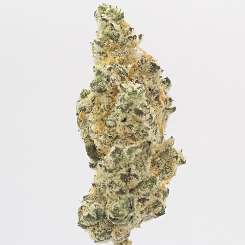 3.5 Grams of JellyDrip Full Spectrum THCa Flower 3.5 Grams of JellyDrip Full Spectrum THCa Flower