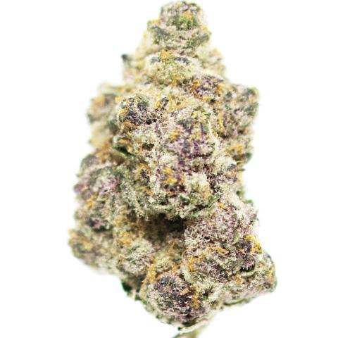 14 Grams of Mac&Gary Full Spectrum THCa Flower 14 Grams of Mac&Gary Full Spectrum THCa Flower