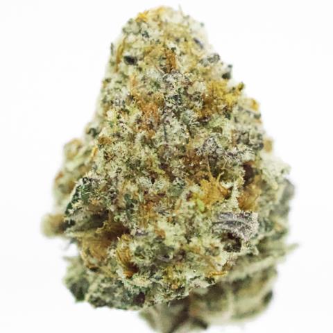 3.5 Grams of Zoap Full Spectrum THCa Flower