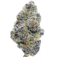 28 Grams of PurplePunch Full Spectrum THCa Flower